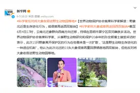 世界动物保护协会首席科学家解读：野象北迁是生存进化行为，或很难再返西双版纳图片