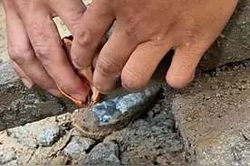 疼！郴州一工人被铁钉扎穿手指，消防成功救助图片