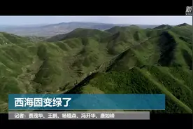 西海固变绿了视频封面