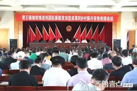 曹王镇召开继续推进巩固拓展脱贫攻坚成果同乡村振兴有效衔接会议图片