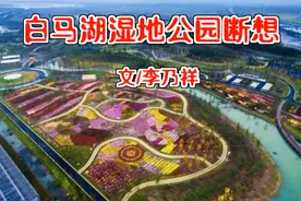 「散文」白马湖湿地公园断想图片