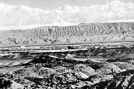 在戈壁荒滩上“种”出“金山银山”图片