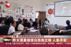 云南：野生象群持续在昆明双河乡活动——昨天清晨继续向西南迁移  人象平安视频封面