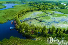 黑龙江：国际湿地数量居全国首位视频封面