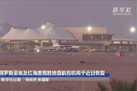 俄罗斯至埃及红海度假胜地直航包机将于近日恢复视频封面