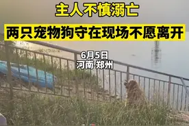 郑州三名年轻男女河中溺亡，随行宠物狗次日仍守在现场图片