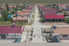 宁夏红寺堡：“智慧”民宿成村民致富“摇钱树”视频封面