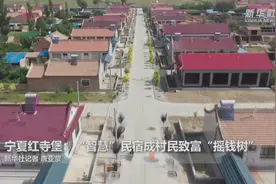 宁夏红寺堡：“智慧”民宿成村民致富“摇钱树”视频封面