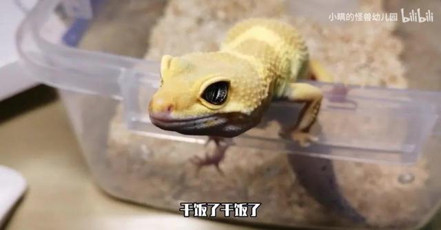 ȳϷ