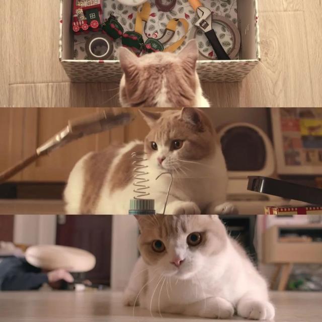 ȳϷ