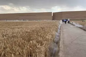 探访王潮歌的“幻城”：“只有河南”的文旅新思路会火吗？图片