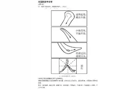 全国新高考Ⅱ卷语文作文来了图片
