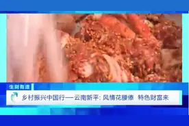 “打卡”腌生肉、欣赏特色刺绣...来云南新平县体验“花腰傣之乡”的独特风味图片