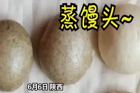 大三学生半年蒸400个馒头做实验：没想过在大学学蒸馒头图片