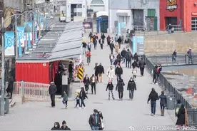 加拿大48人感染神秘疾病6人死亡 出现幻觉有认知障碍图片