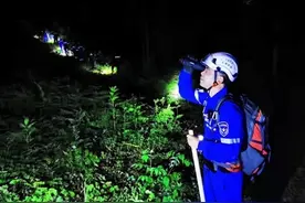杭州民间搜救队寻豹记：“偷跑上山的鸭子都找到了，却还是搜不到第三只豹子”图片