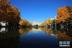 世界各国最受欢迎的大学专业分别是哪些？答案可能会让你大吃一惊！（上）图片