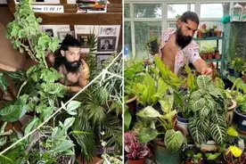 男子不爱外出只爱养植物 自己种植1000棵打造室内丛林图片