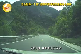 西安市民沣峪口遇秦岭小黑熊！怎么就你一个？图片