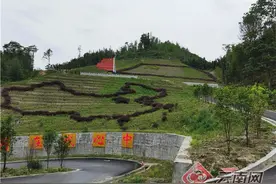 「走进红色文山」麻栗坡坝子雷场：美丽风光入眼来图片
