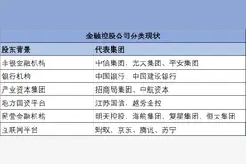 两张金控牌照申请获批，金融科技平台转型或采取“小金控”模式图片