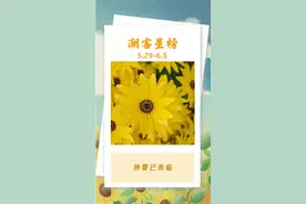 潮客星榜丨再次回味六一儿童节的礼物图片