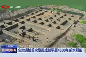 四川新闻联播丨宝墩遗址首次发现成都平原4500年前水稻田图片