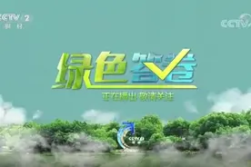 央视点赞深圳——“这是一座可以深呼吸的城市”图片