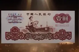 胸怀千秋伟业，恰是百年风华 《红色财经·信物百年》第二十集｜它的出现，结束了中国农业“耕地用牛”的时代！视频封面
