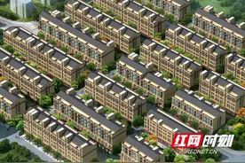 桃江：学史力行 补项目建设“短板”落实“三高四新”战略图片