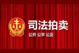司法拍卖 看看有没有你的菜？图片