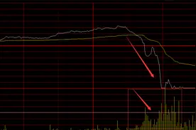 短线牛股闪崩！19分钟股价触及跌停，振幅高达15%，股民懵圈：跌停板位置“割肉”，啥情况？图片