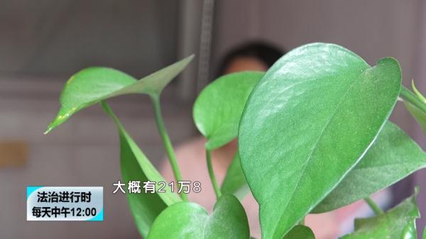 北京奇案：至少9位女孩恋上同一男子，结局是“财色两空”