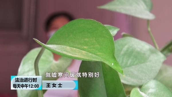 北京奇案：至少9位女孩恋上同一男子，结局是“财色两空”