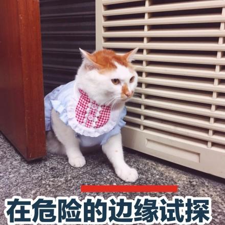 密室逃脱火了！如何成为高玩，五个逃脱小技巧请收好