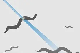 细菌如何感染人体？我国科学家有了新发现图片