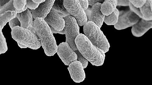 改写遗传密码开启新药“闸门”