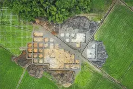 4500 年前古蜀先民就种植水稻了图片
