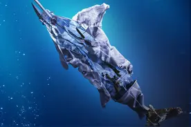 世界海洋日：2050年海洋塑料垃圾总重量或超鱼类图片