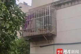 独居老人为排解寂寞，将阳台改造成“养鸡场”？图片