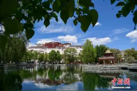 治藏方略集大成 中国西藏历史巨变图片