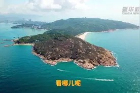 一只小海龟的诞生图片