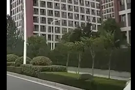 南大仙林校区再现野猪狂奔 车主：这一幕“像当年逃课出来的我们”图片