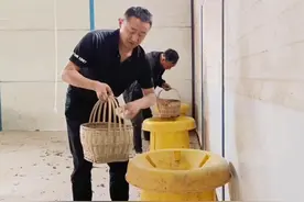 四川内江援彝干部宜畜则畜 发展特色养殖产业图片