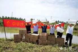 中华沙塘鳢在阳新尝试展开规模化养殖图片