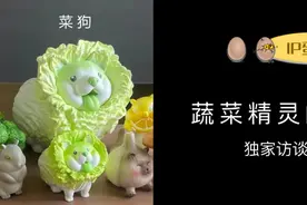 独家深度访谈：蔬菜精灵的爆款之秘图片