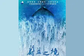 世界海洋日｜用这些纪录片拨动孩子保护海洋的心图片