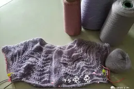 开衫版凤尾花，百搭实用春夏女士棒针开衫（有编织图解）图片