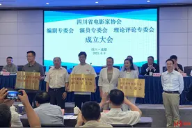 四川省影协成立三个专委会！演员专委会主任是王迅，黄渤任顾问图片
