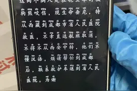 挖虫草时被棕熊袭击，母子俩危在旦夕！一场关乎生命的地空接力救助紧急展开图片